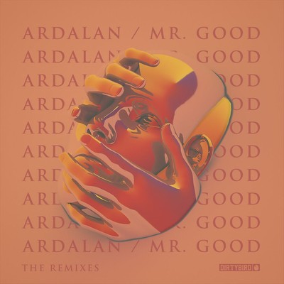 ARDALAN MR. GOOD NEW 12 INCH VINYL SINGLE