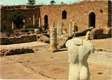 CPM AK TUNISIE CARTHAGE - L'Antiquarium (258581)