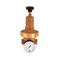 Riegler 101436 Pressure Regulator DRV 250, Low Pressure Design, G 1/2, 0.2-2 bar