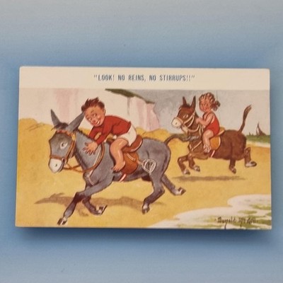 Donald Mcgill Comic Postkarte C Eselfahrt Strand keine Zügel keine Steigbügel