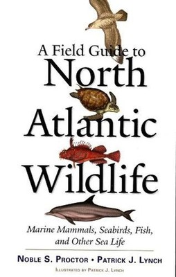 A Field Guide to North Atlantic Wildlife: Marine Mammals, Seabirds, Fish, and Ot