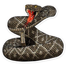 Rattle Snake - Vinyl Decal Sticker - Car Window Laptop - ebn9746