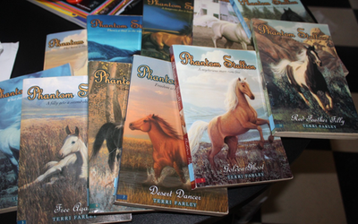 #ad Phantom Stallion Book Lot 11 Horse Books By Terri Farley Summer Reading AB1= $24.99
