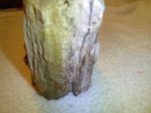 Prehistoric Fossilized Petrified Wood Specimon Rock Sculpture 7''