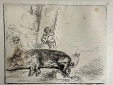 Rembrandt Engraving The Pig Sow Boar Pig The Hog Pig Sow Wild Boar 1643