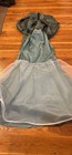 Chetta B Evening Size 4 Sage Skirt NWT — photo 9