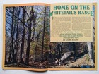 AMERICAN HUNTER MAGAZINE - MARCH 1993 - Spring Gobblers + more — photo 6