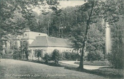 Postcard Bad Freienwalde a. Or Health Fountain 1915 (No.895)