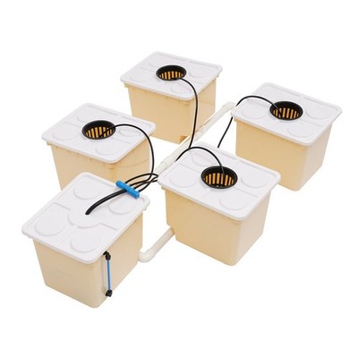 Hydroponic Deep Water Culture (DWC) & Buckets Drip Ring Grow System Kit Pp & Uv