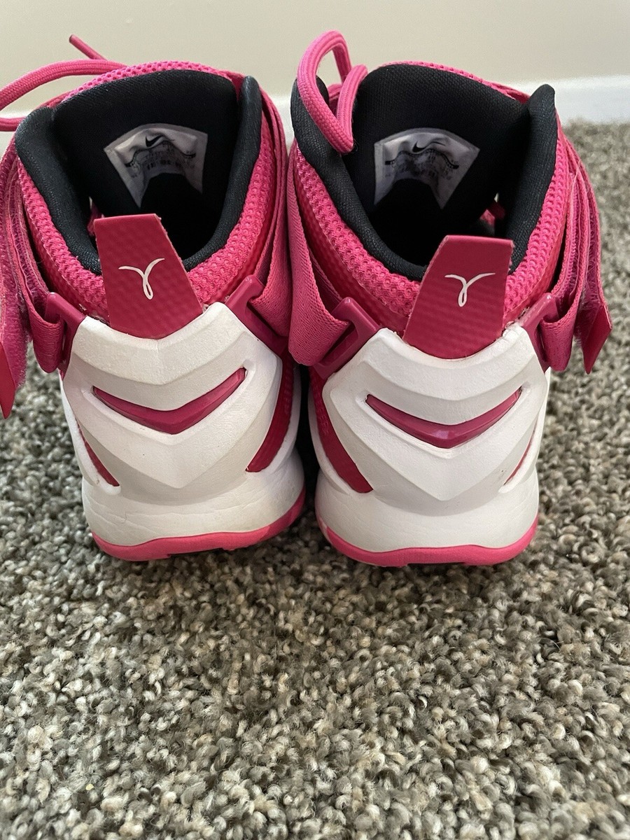 lebron soldier 9 pink price