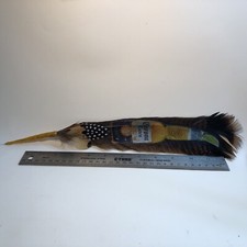 Cowboy Hat Feather Western, Stetson, Resistol,Style, Corona With Lime , Turkey