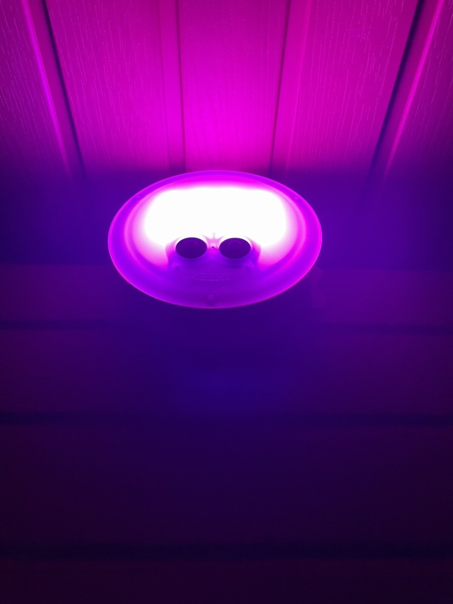 INTEX PURESPA MULTI COLOUR CHANGING LED LIGHT 28503