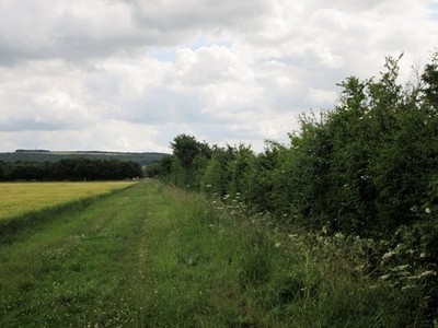 Foto A2 Feldrand Reitweg zum Bahnübergang East Knapton Farm t c2015