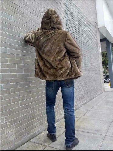 Abrigos de piel sintética para hombre joven chaquetas de invierno con capucha ropa exterior corta abrigo suave - Imagen 7 de 9