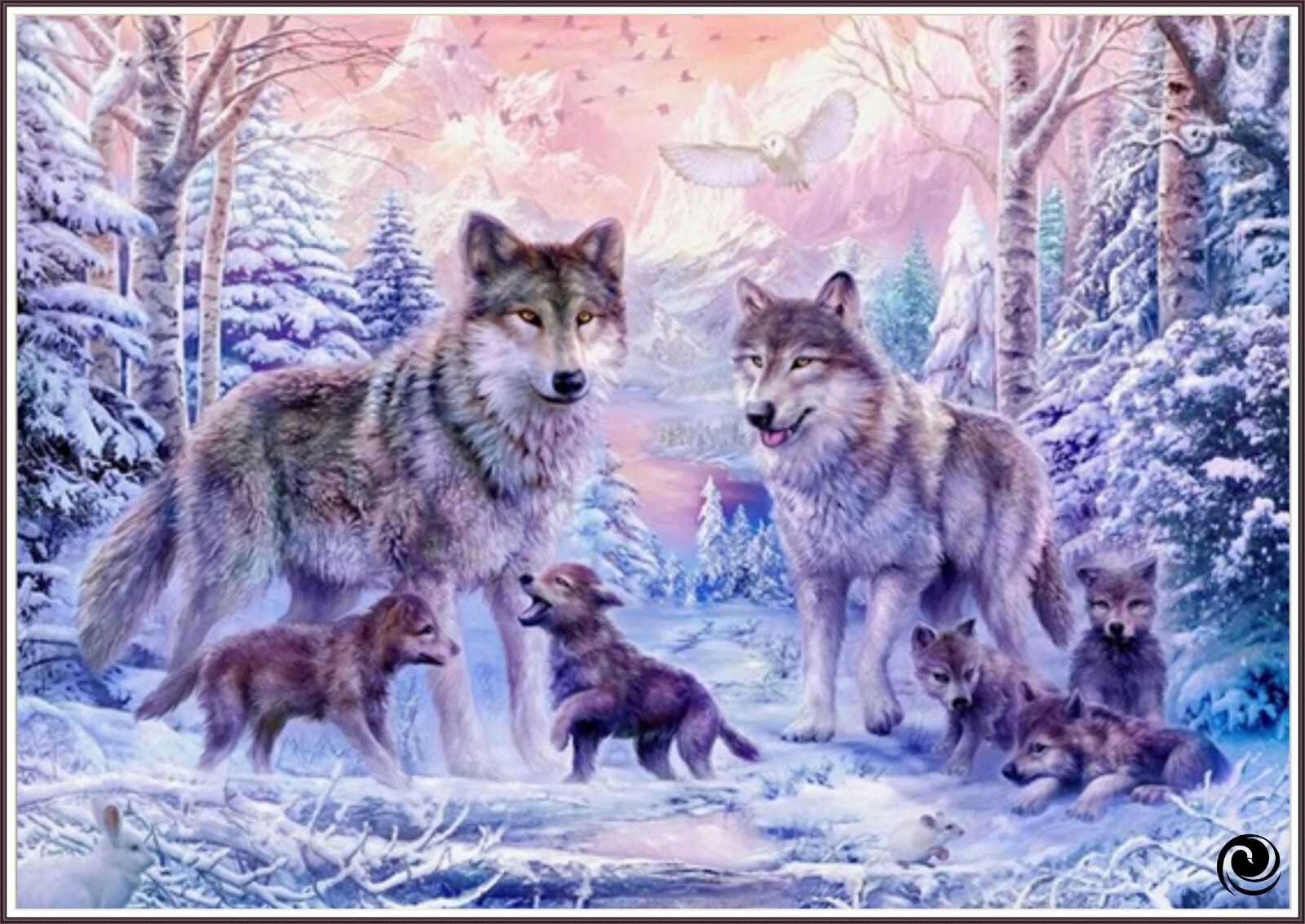 Imagen 1 de 5