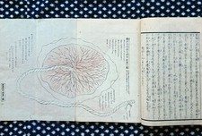 Japanese Woodblock Printed Book Toriagebaba K...