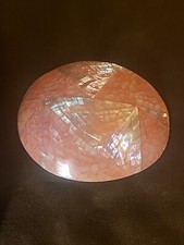 Sommai Tropical Shell World  Belt Buckle For Stretch Belts 3 3/4""X 2 3/4  Med