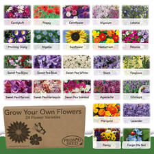 Flower Seeds UK | 24 Varieties | 3100 Seeds | Gardening Gifts Women | Men