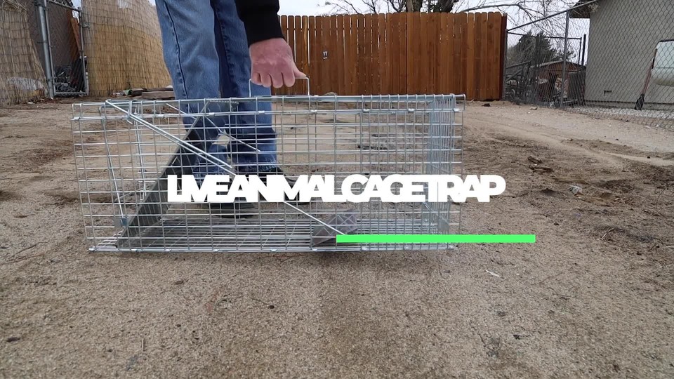 Large Animal Trap Spring Loaded 32x12x13" Easy to Bait & Release Fram ...
