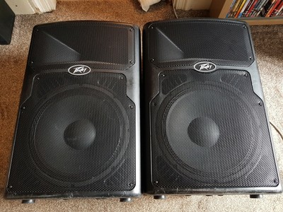 peavey pvx p15