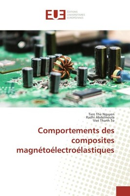 Comportements des composites magnétoélectroélastiques Tien The Nguyen