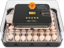 56/70 Eggs Digital Incubator Automatic Egg Turning Humidity Chicken Duck Quail