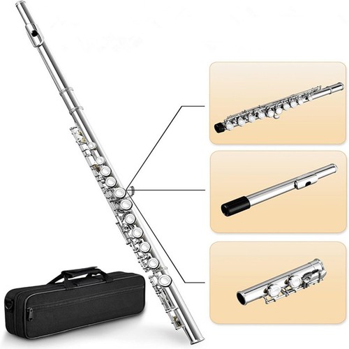 16 Closed Open Holes C Key Professional Transverse Flute Concert Musical5727 - Picture 6 of 6