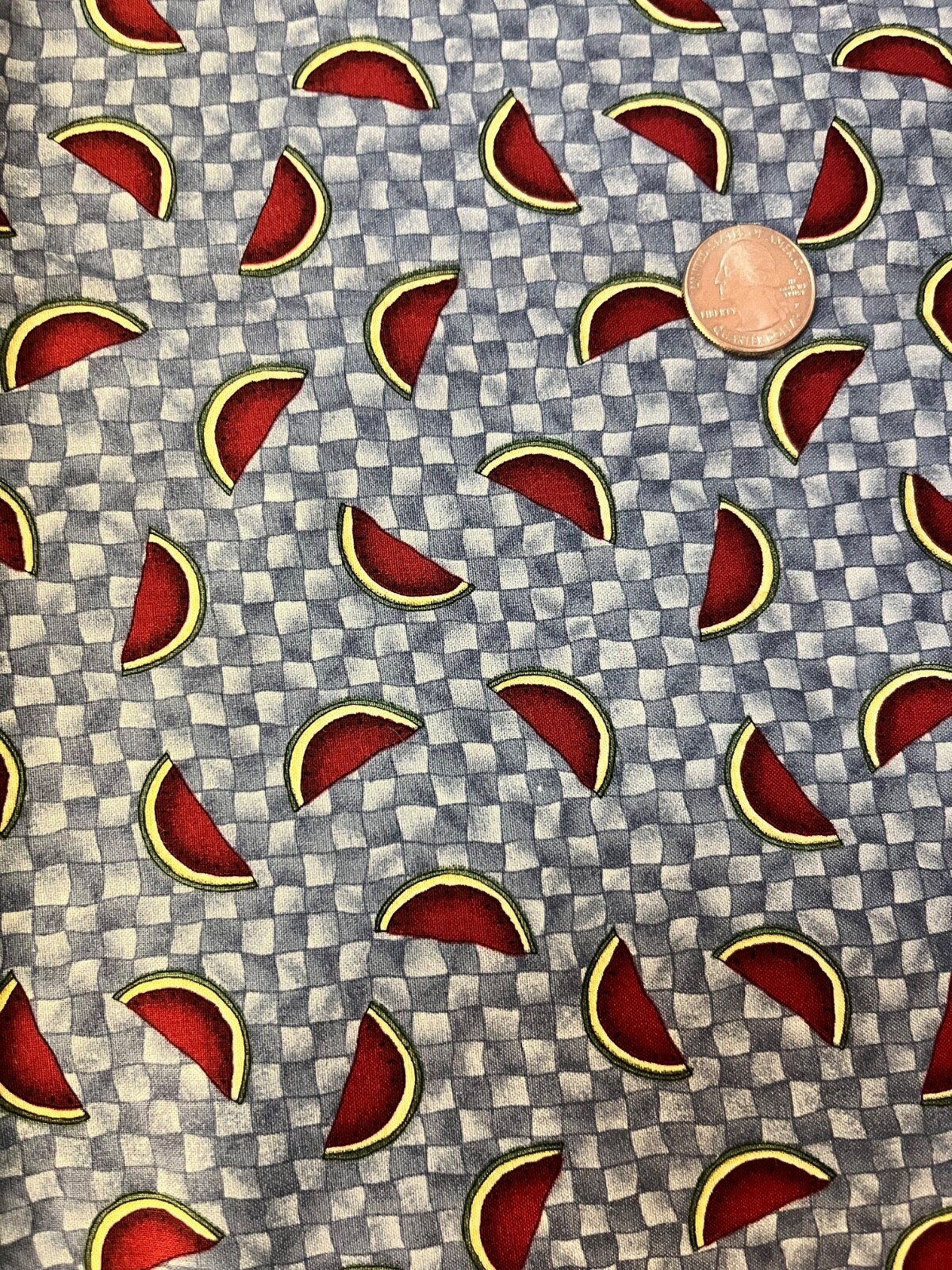 Vintage Debbie Mumm for SSI Watermelon Slice Blue Check Cotton Fabric 1 Yard