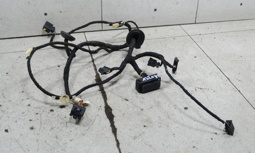 VW Golf 4 IV 1J 2002 Tür Kabelbaum Leitungssatz vorne RECHTS 132041-H163