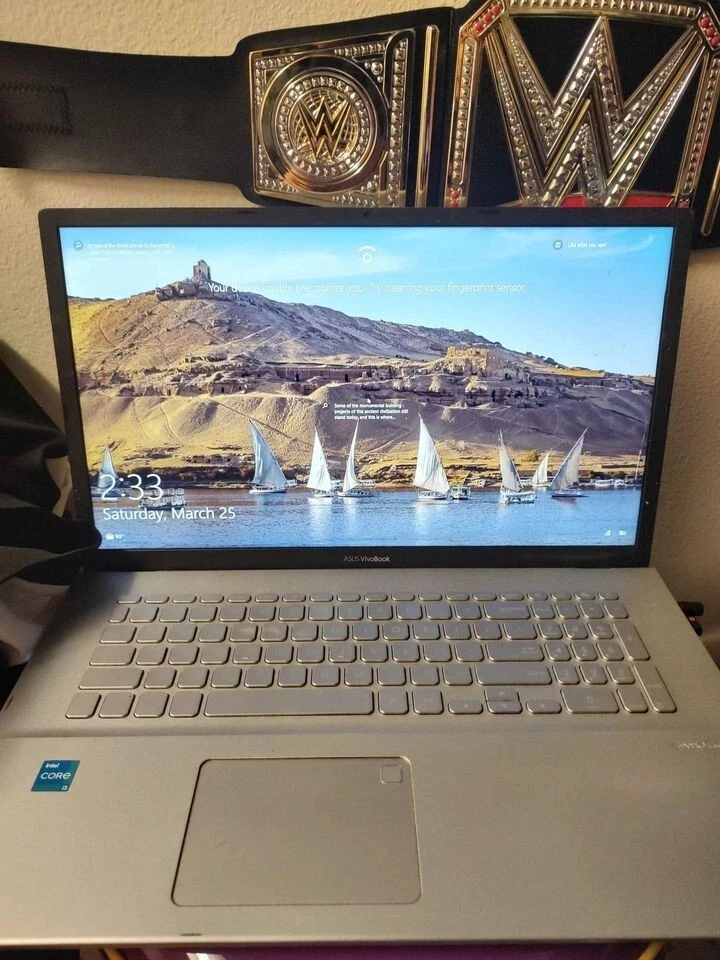 ASUS VivoBook 17 17.3” 237 GB SSD, Intel Core i3-1115G4, 3 GHz, 8 GB RAM  Laptop