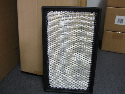 Luber-Finer AF293 Air Filter Replaces BALDWIN PA2135 HASTINGS AF882 WIX 46116