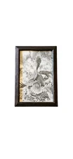Vintage Bill O'Neill 1982 Print Of Timberline Bald Eagle Etching Art Framed