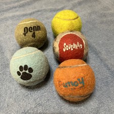 Dog Toy Tennis Balls 5