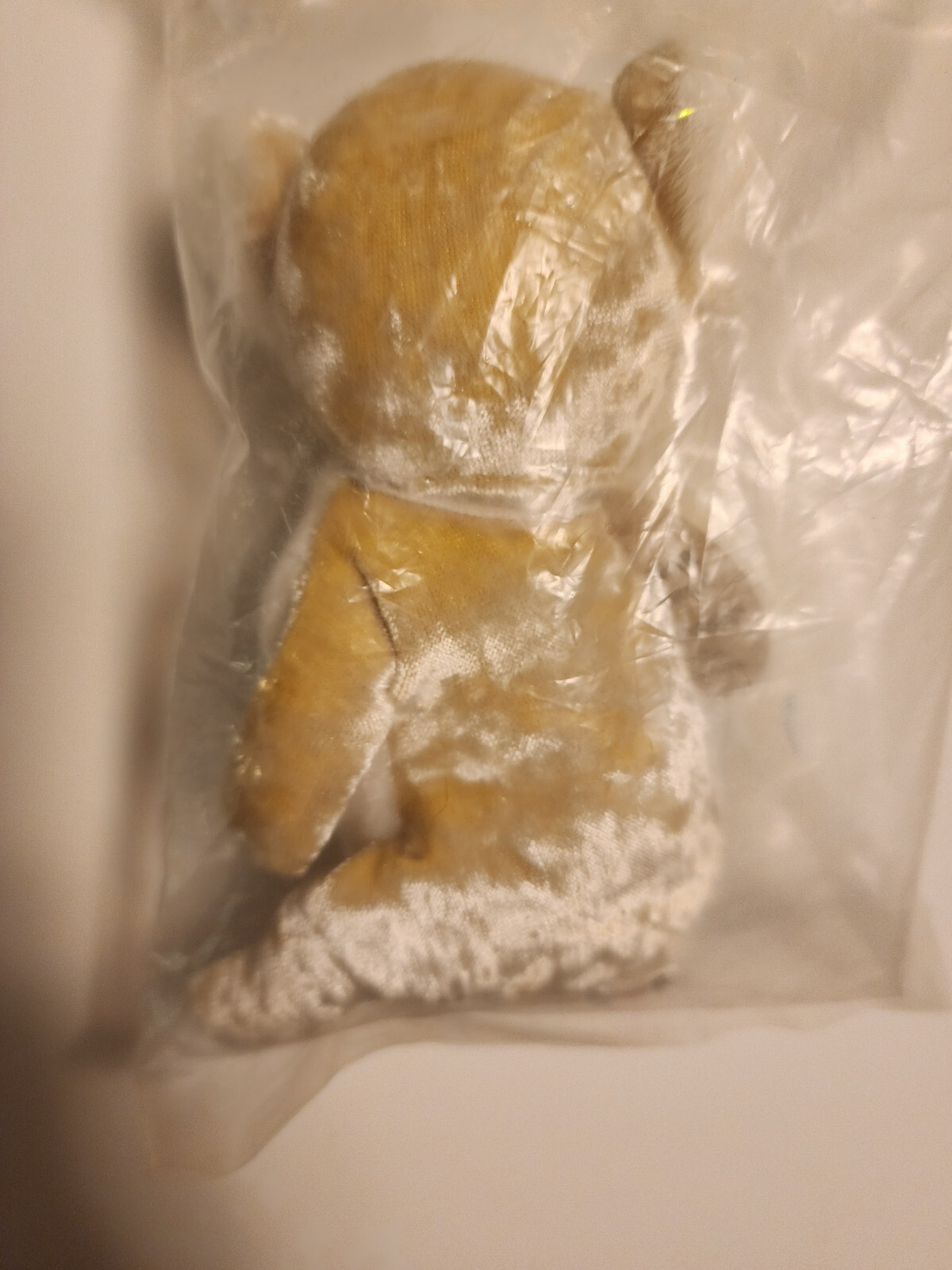 Dunkin Donuts 5” Plush Coolatta Bear  "Goldie" Koala Bear 50th Anniversary NIP