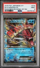 PSA10 MギャラドスEX 019/080 RR XY9 Gyarados Gyarados 019/080 Xy9: Rage of the Broken Heavens Holo (Japanese