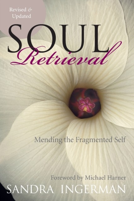 Soul Retrieval Mending the Fragmented Self by Sandra Ingerman (Paperback Book)