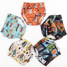 Baby 5 Packs Potty Training Pants Cotton Absorbent Training Underwear for Boy 3T