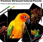 Colored Pencils for Adult Coloring Books 72 Colored Professional Drawing Pencils