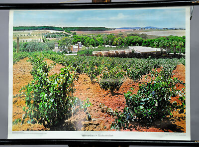 Schulwandkarte vintage Poster retro Rollbild Weinanbau Südaustralien Landhaus