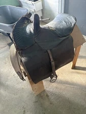 antique sidesaddle equestrian