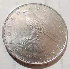 50 Forint 1995 Hungary Coin MAGYAR KÖZTÁRSASÁG Saker Falcon bird of prey Turul