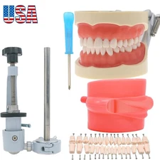 US Kilgore Nissin 200 Dental Typodont Model 32pcs Removable Teeth Mounting Pole