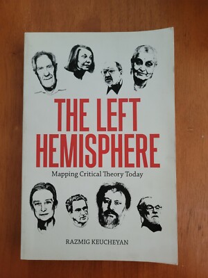 The Left Hemisphere Mapping Critical Theory Today Book by Flach Ayboga Verso NEW