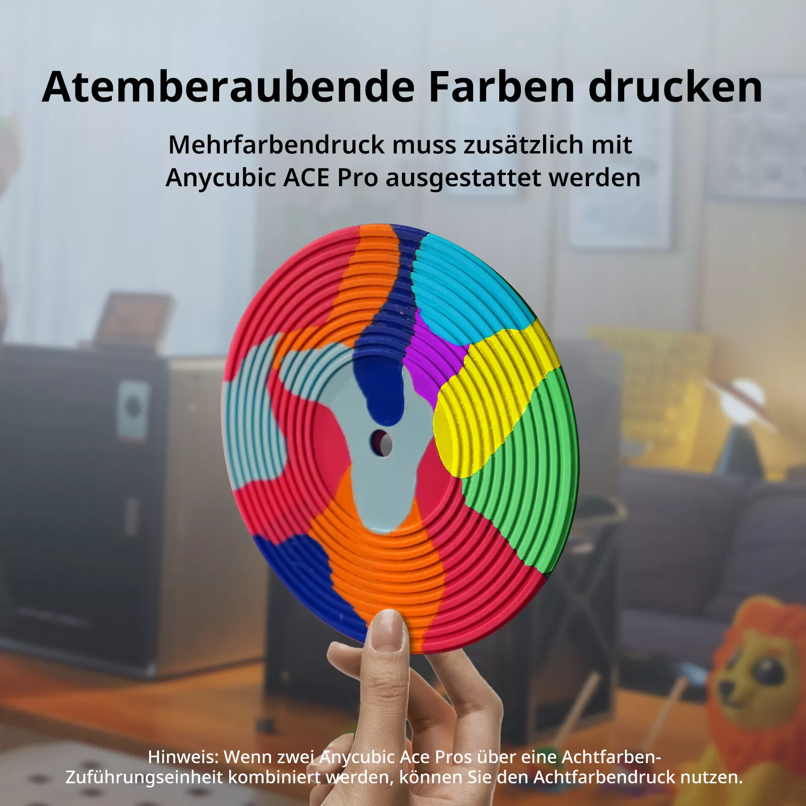 Bild 12 von 16