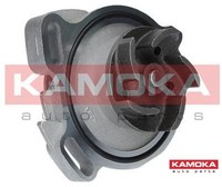 Kamoka T0275 Wasserpumpe Wapu FüR VW