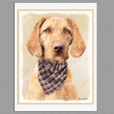 6 Wirehaired Vizsla Hungarian Dog Blank Art Note Greeting Cards