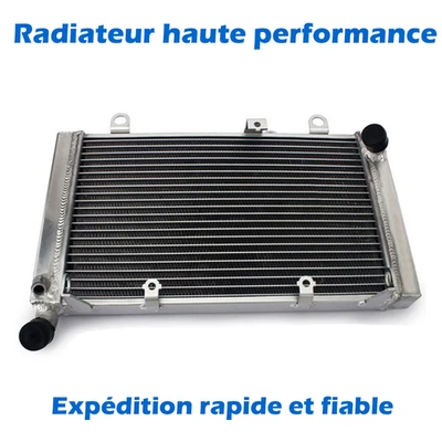 Radiateur de refroidisseur d'eau en aluminium pr Honda CBF 1000 06-10 ABS 06-12 - Photo 1/4