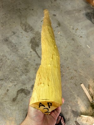 VINE MAPLE Bow Stave/Archery/Turning Wood/Short Bow 73.5'' 