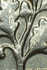  on The Hot Collector