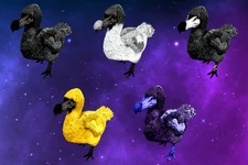 Ark Survival Ascended PVE Dodo TOP STATS